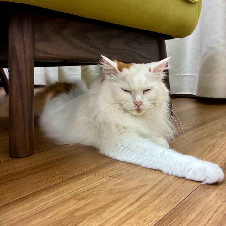 4bff034e 89d5 40aa b0bf cb837b89ee80 1759558075011