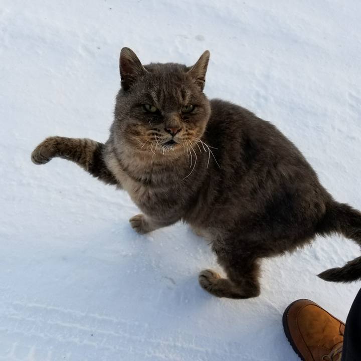 4bff36bd fa44 45fc 8823 b02a59cde350 1516286775130