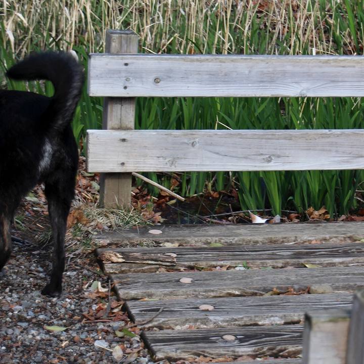 4bff38cb d3d5 4e40 a99d 72ae9189fb22 1558353755459