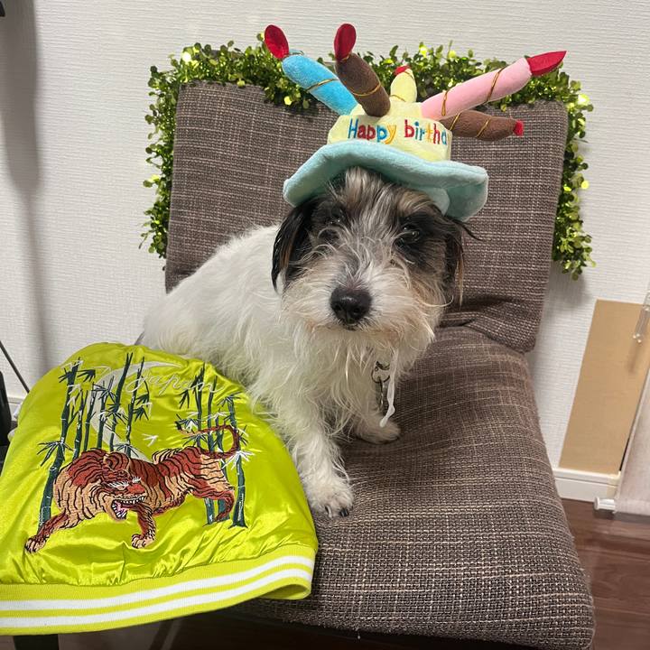 4bff4772 209c 42c5 9e86 3af54948a1db 1768608815437