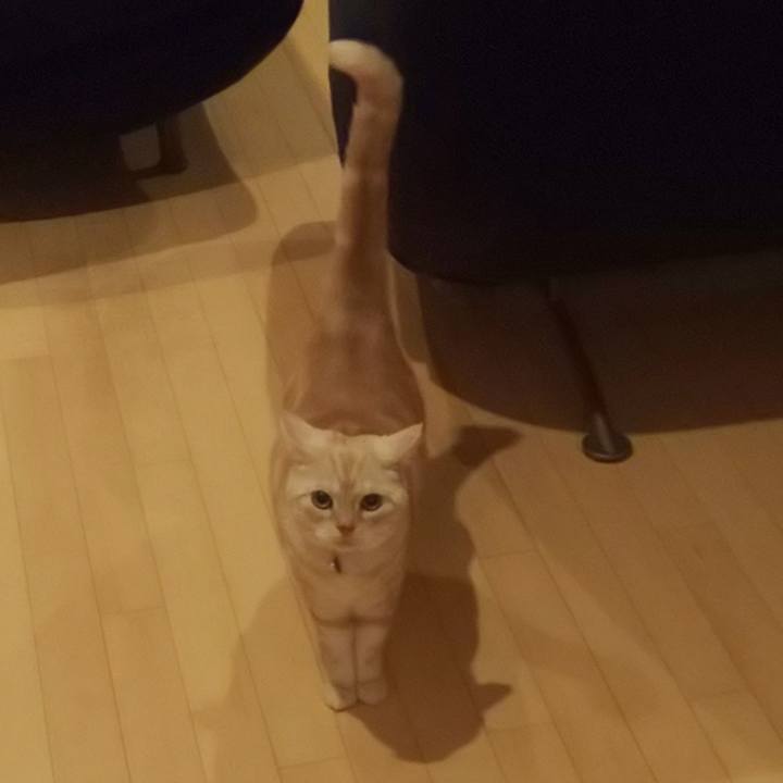 4bff8a1f 8c2e 4c32 8525 cbef7f07d7b6 1540287527499