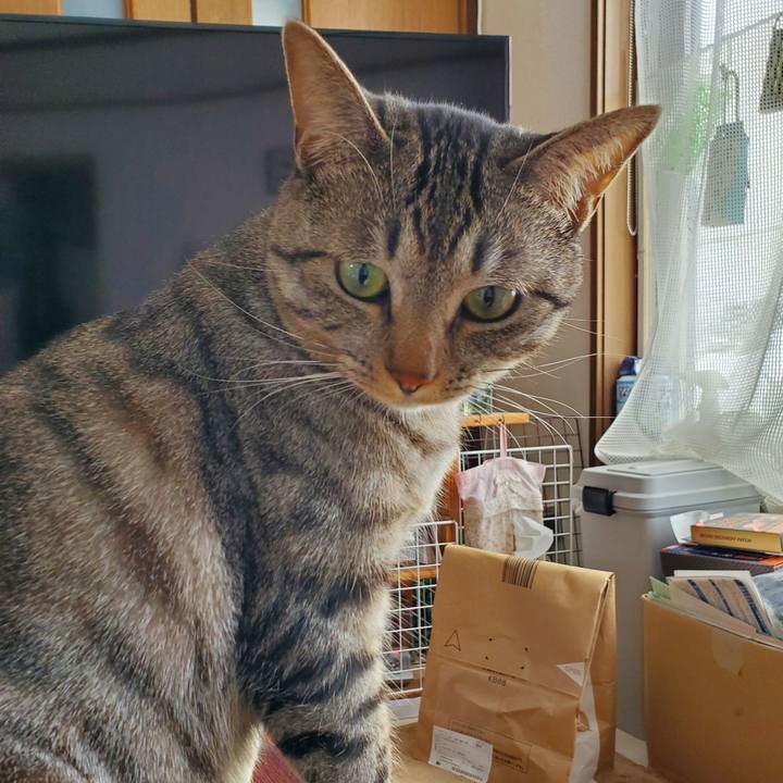 4bff8fcd a32e 4ffe 9964 c2fb0b6ab25b 1708912650937