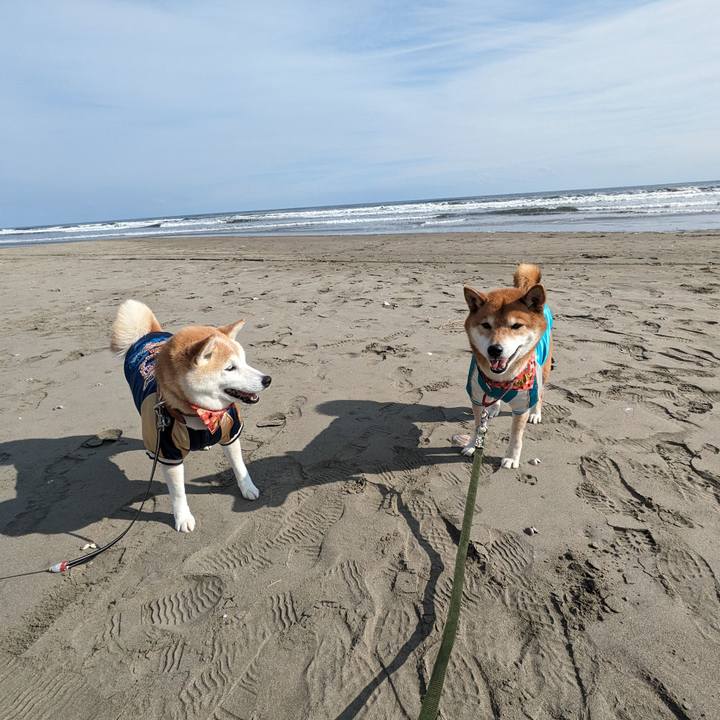 4bff9bfd 3101 4012 ae45 b0b46b7f5d92 1707703045590