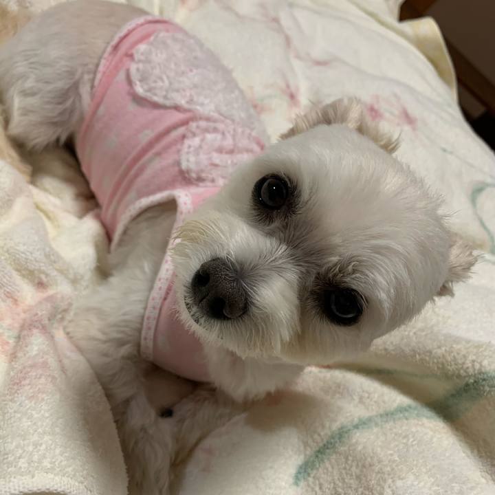 4bffa86d 86fa 4576 b471 84944ad083c8 1601895558975