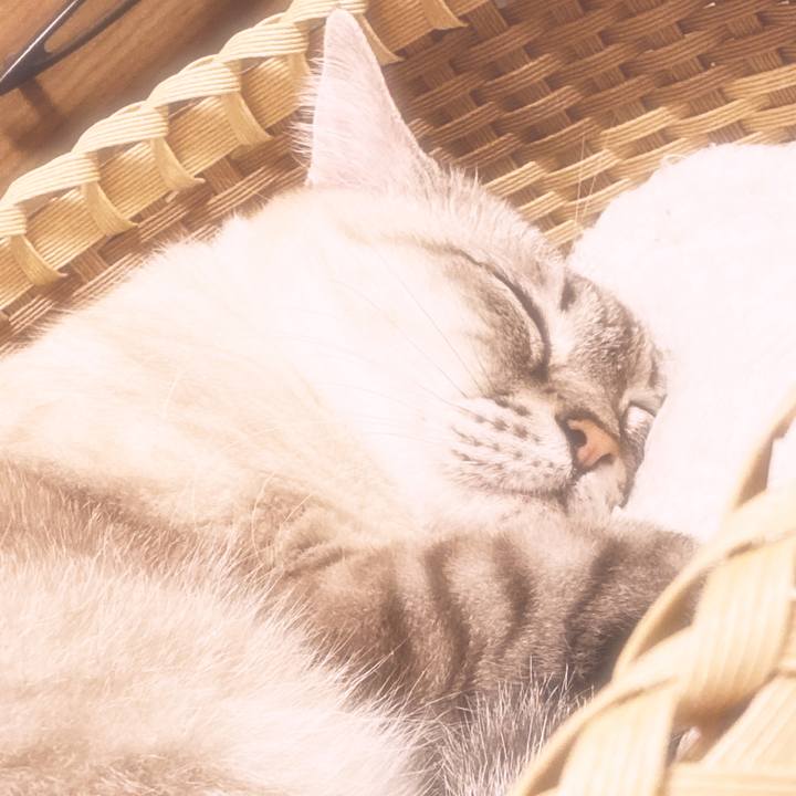 4bffdb81 88e1 4a4f b7e2 d79161c3d1fc 1636819338551