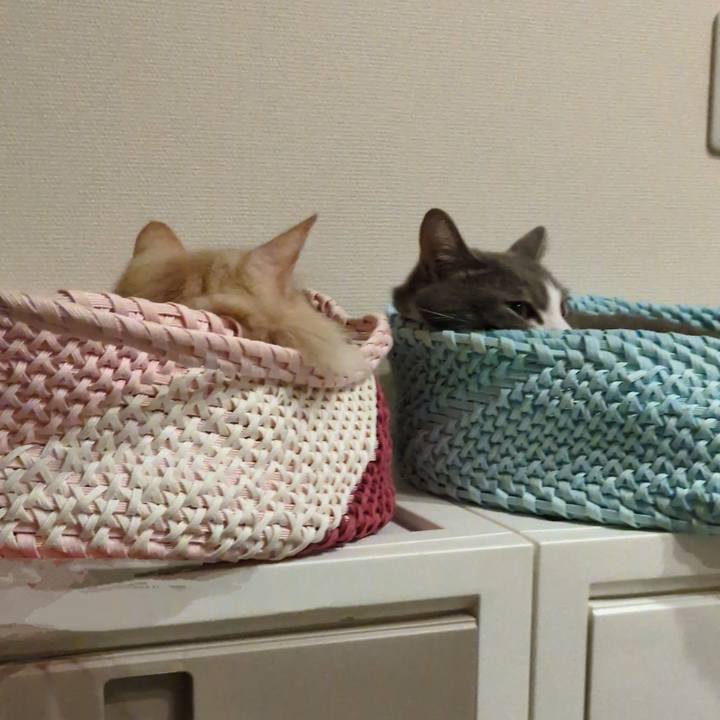 4bffe080 676f 4df4 a382 647615061164 1727403135040