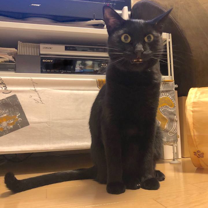 4bfff28c 8e2f 4d2e a42b a53fd60134ab 1578145724823