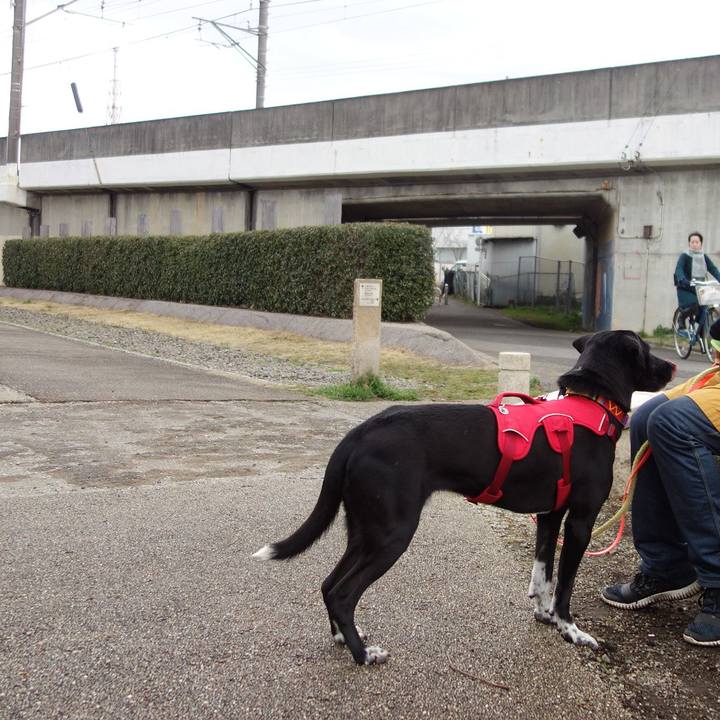 4c0037c0 7c6c 4816 a8cd 5f7de9c6e763 1583371787811