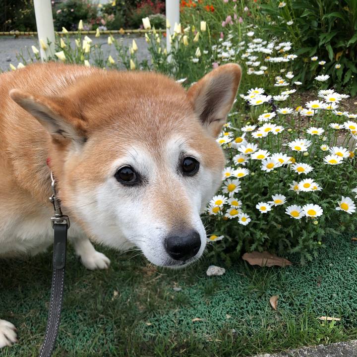 4c011009 b6c3 4f02 94f9 fecc0da7fae6 1557744536137