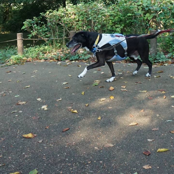 4c014cf5 ccb1 4b71 9cd0 df6a2298541c 1755561561362