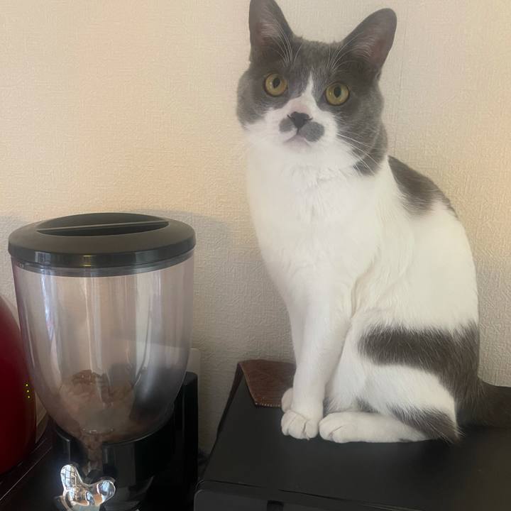 4c015785 d433 4897 9482 20c4e60db631 1643937146214