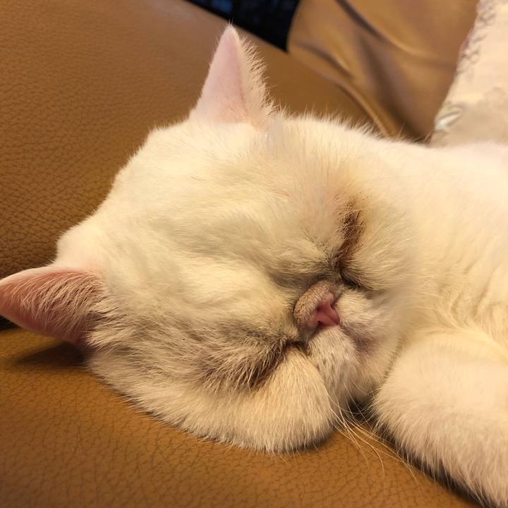 4c01591d 6784 4999 b513 38950a01cdb8 1596354738314