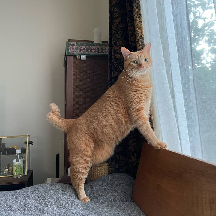 4c0184d8 709d 403c b824 711ffcb752d6 1657148418506