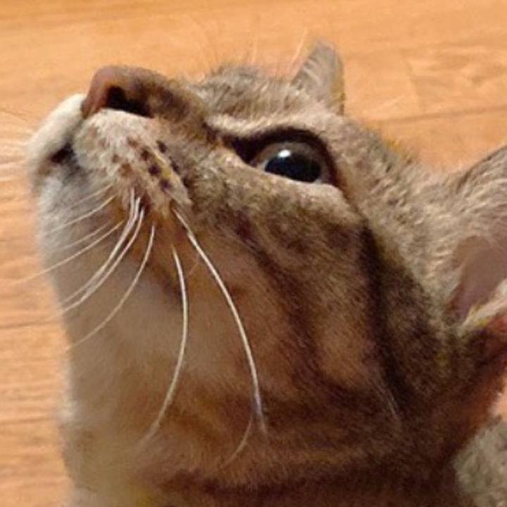 4c01898a 32c9 453d a4cd e80569181913 1629521975950