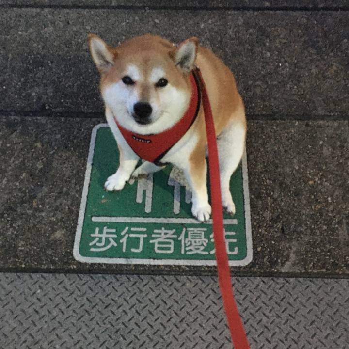 4c01b600 5d73 4e11 bb38 75b13feb03e3 1614925990999