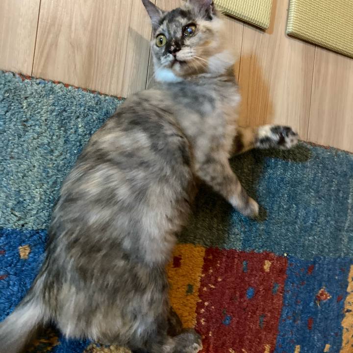 4c01bab4 0c6e 4b10 ae25 9a7e00763e57 1700221835645