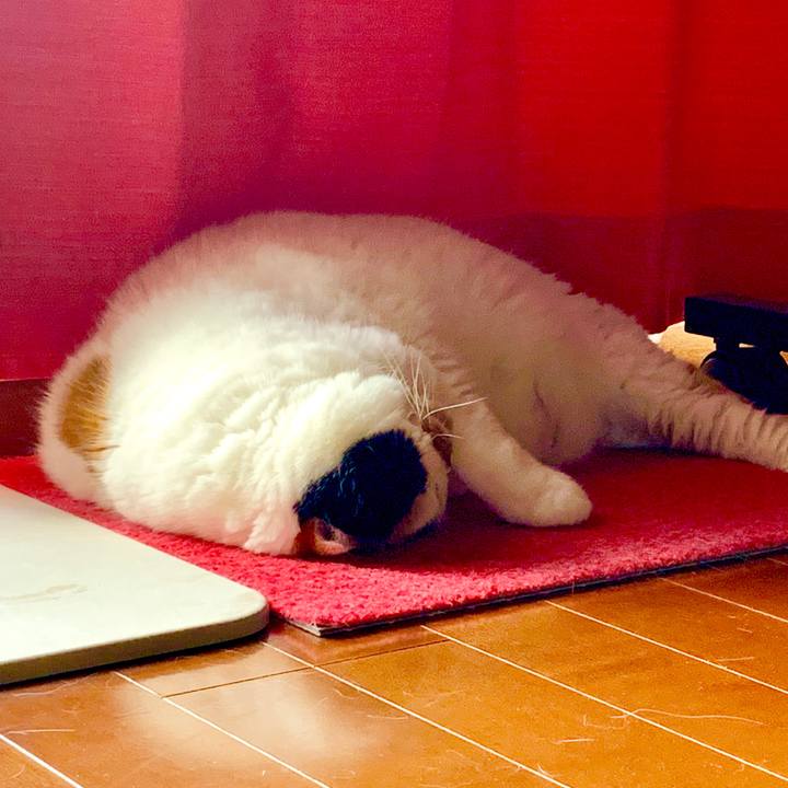 4c01c10c 5940 4acd 88f6 26cae910777e 1564954328760