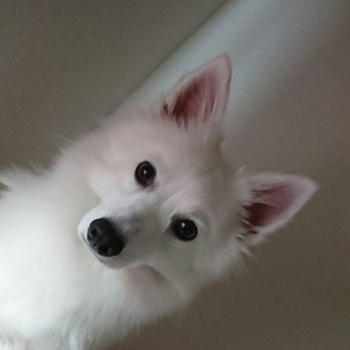 4c01e13e 4f59 4bc0 bd3e bd7d517f44ca 1510097959630