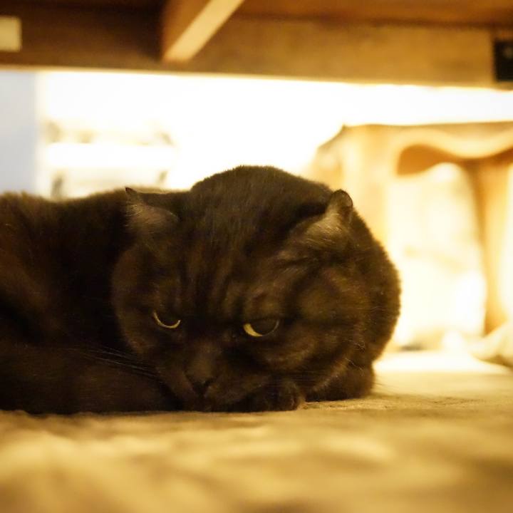 4c020207 3ef4 4435 9970 22fee741ef6b 1575732900582