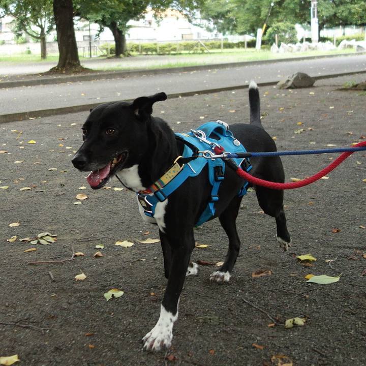 4c0202d3 1f7e 4973 9f1a fc80bd8d8a0b 1628727709908