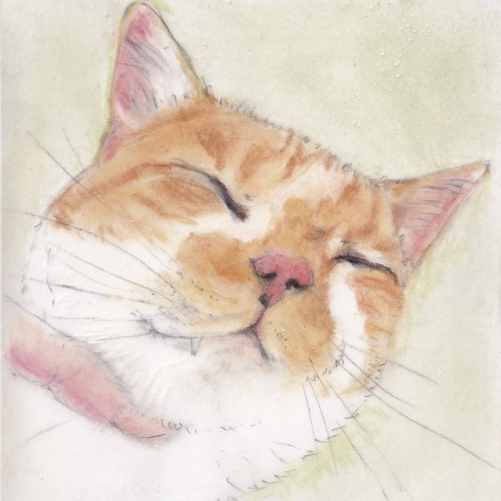 4c022c16 e0e1 4bd8 88a5 37cc3bbf3eef 1743818273003