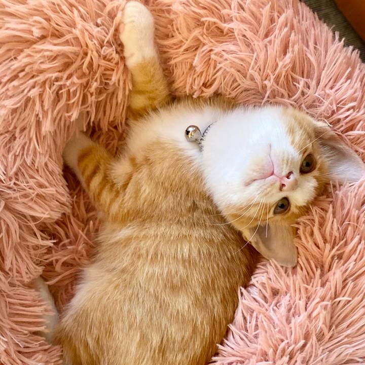 4c025d78 5dd7 41e1 961b 38cb344ae092 1666691156385