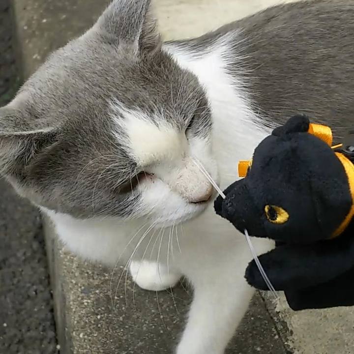 4c0277f1 11e7 4d9e aabb 630a3681881c 1537760599369