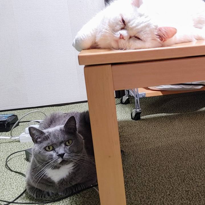 4c0284d3 fdd6 470b 9b2c ee9392809e8f 1726913978157