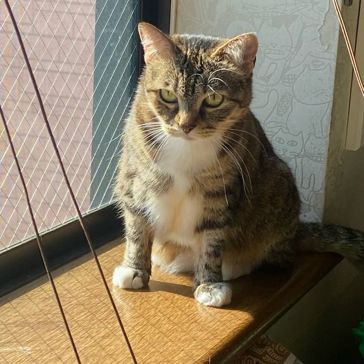 4c02889e 0093 43cb a65f b737ba51d5b3 1636079296133