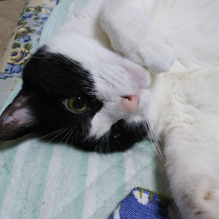 4c02df13 36a6 475e a5e2 7275bf5a3a06 1536665763441