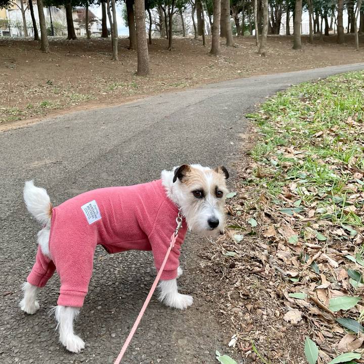 4c03077a 90bd 43b7 b733 fc099c2529ce 1675327766747