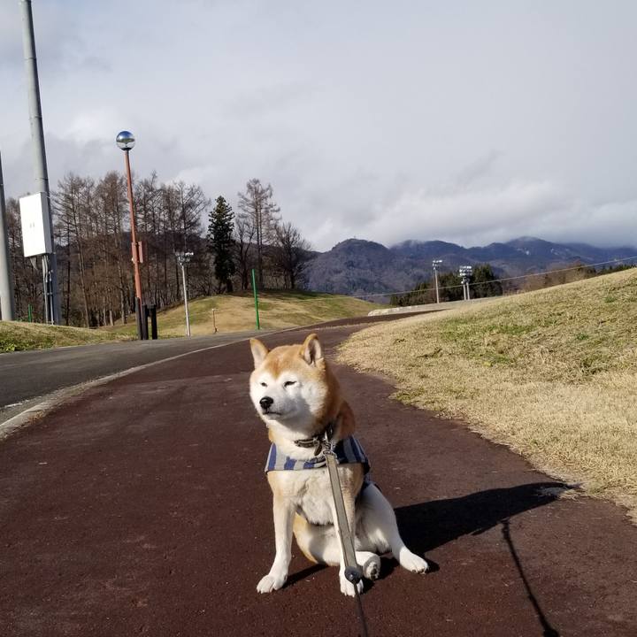 4c031b81 12cf 4c0b a89b 129e3c76308e 1670474165056