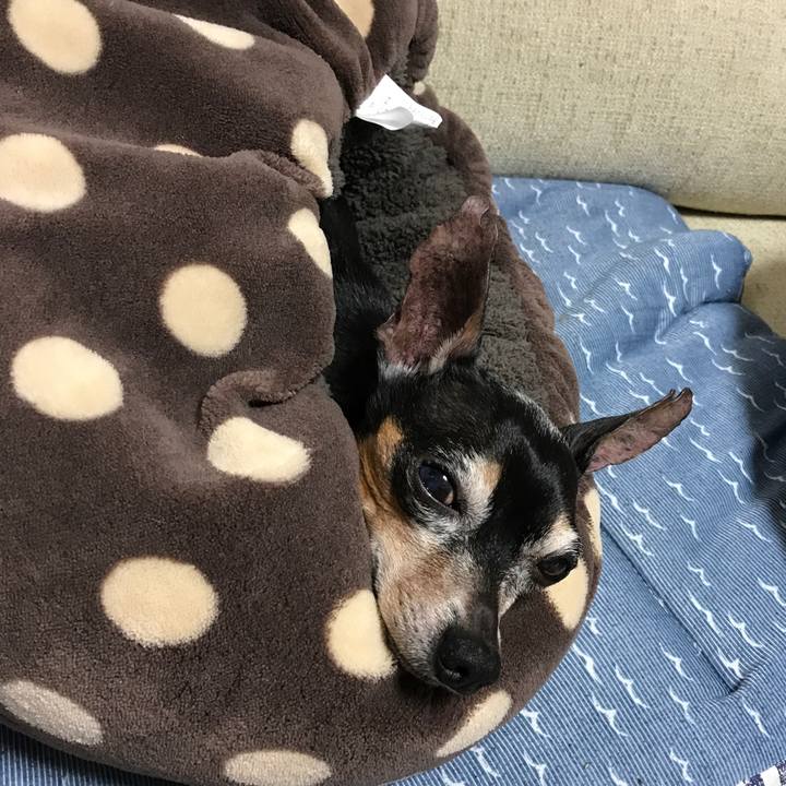 4c034d85 4ccd 4c2f 93ad c9d0ef90562c 1509363903646