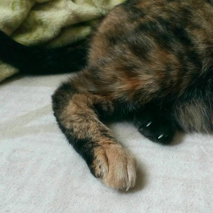 4c036d59 17ab 40f8 9ec8 1c5bdee4316a 1559282035843