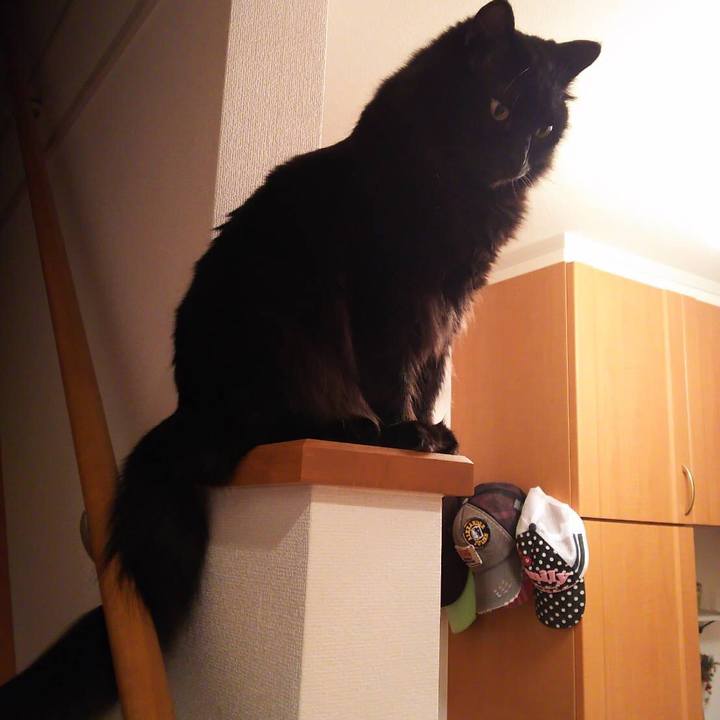 4c036e23 ada0 4ee4 a366 f9b8dfe68916 1515408499432