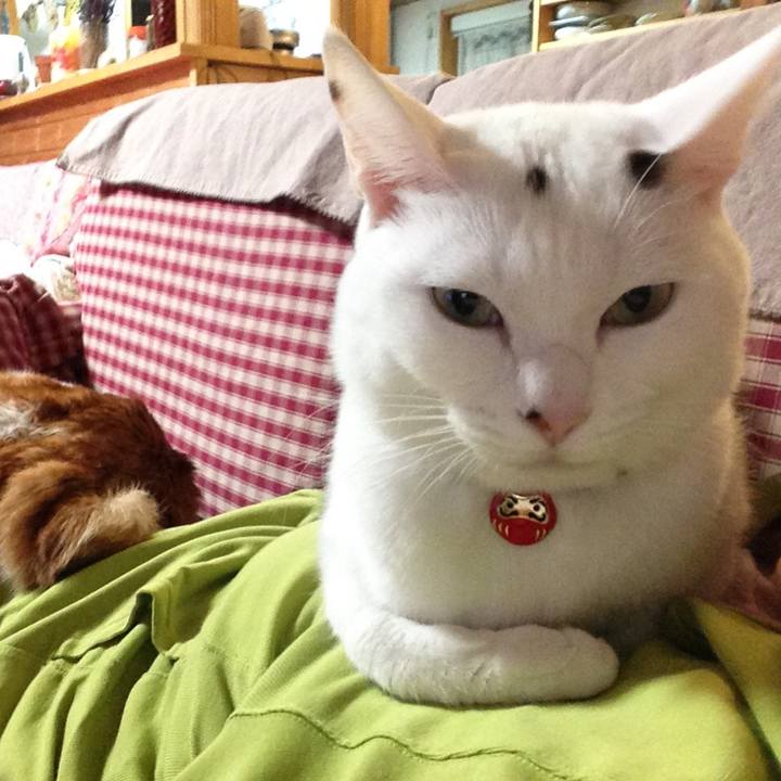 4c037389 6e7a 40f7 8a93 924b5b0314c4 1529824038158