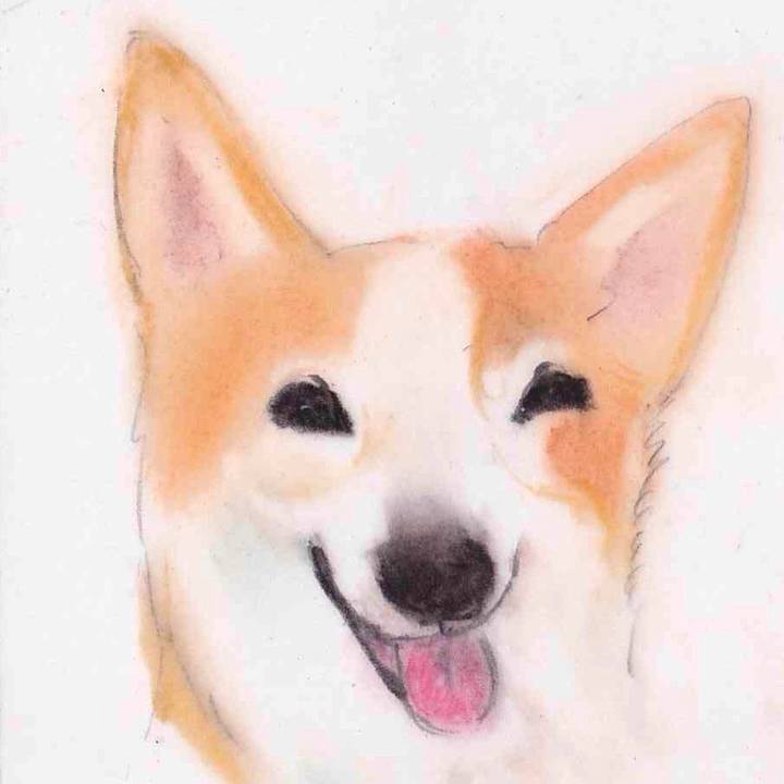 4c03991d 62f8 440f 9e5e f6a3e843d9d7 1633877158711