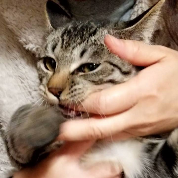 4c03d32b d8ba 4e94 a7c0 ff43d237cff1 1670852473154