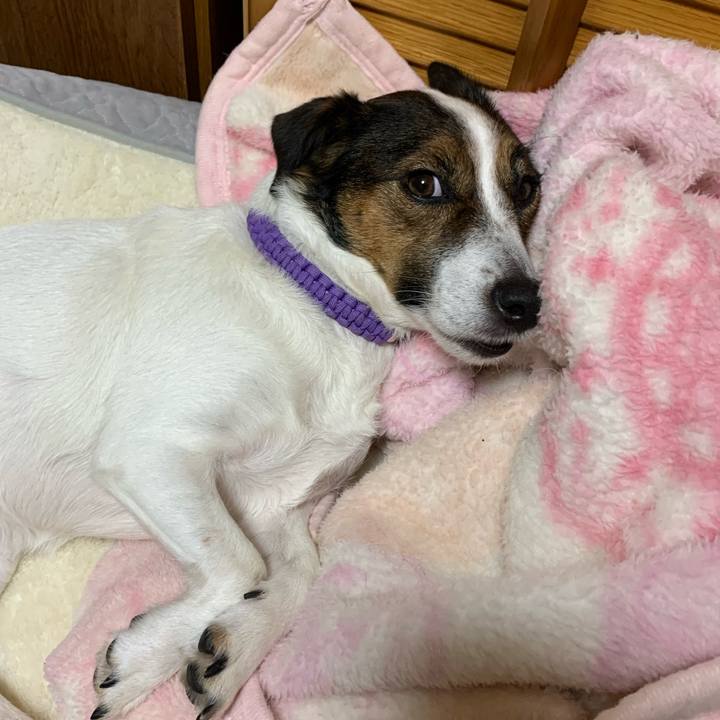 4c03e939 0af7 4c26 85fd 7c0136734e7c 1576584329040