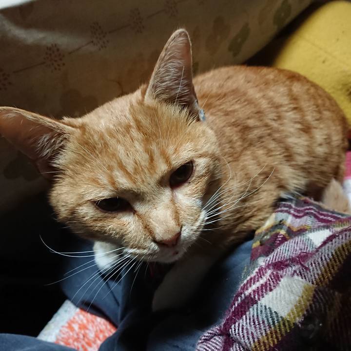 4c03fa1e 01eb 4dc7 81d2 acefe65c66a8 1573073123846