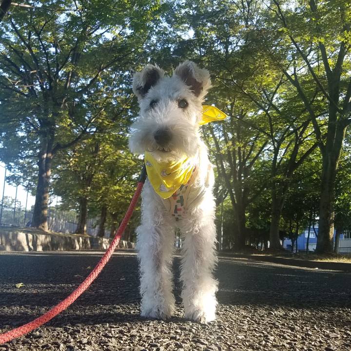 4c04061a 4fa9 4fa7 a5af 1ac5c0cff424 1600752595445