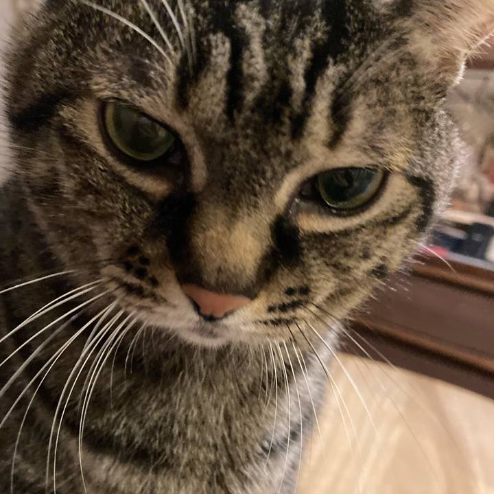 4c044a55 0543 48a6 b564 6849e06e6627 1737355356447