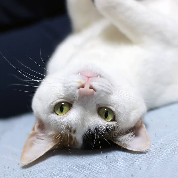 4c04a580 0afe 4c6f b466 b43f959bd8d6 1580873225648