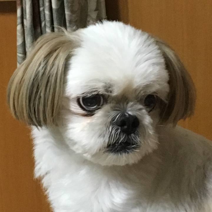 4c04d519 12f0 43ef af5a 2f8f95083939 1519134571522