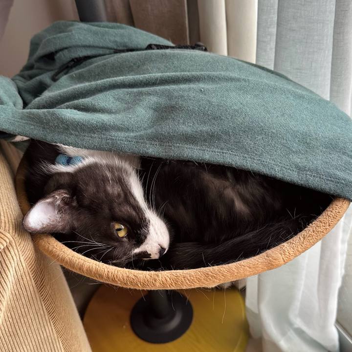 4c050359 74d6 4d15 b7c9 55ec668fd4b3 1771478448944