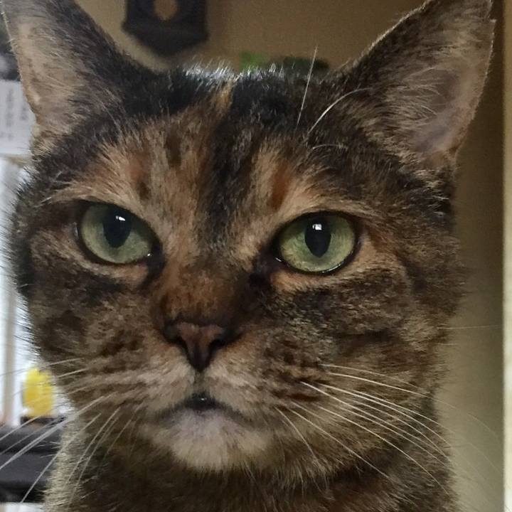 4c05260d 6cdb 4ddd 957d c258c861c8fc 1691844507145