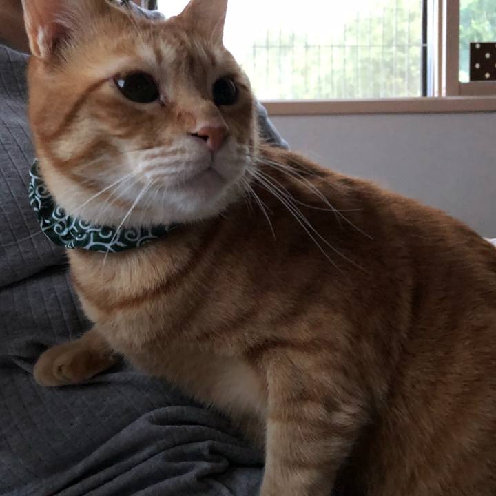 4c054c5c fd8c 4cf3 b22d 861276b8b257 1560852297412