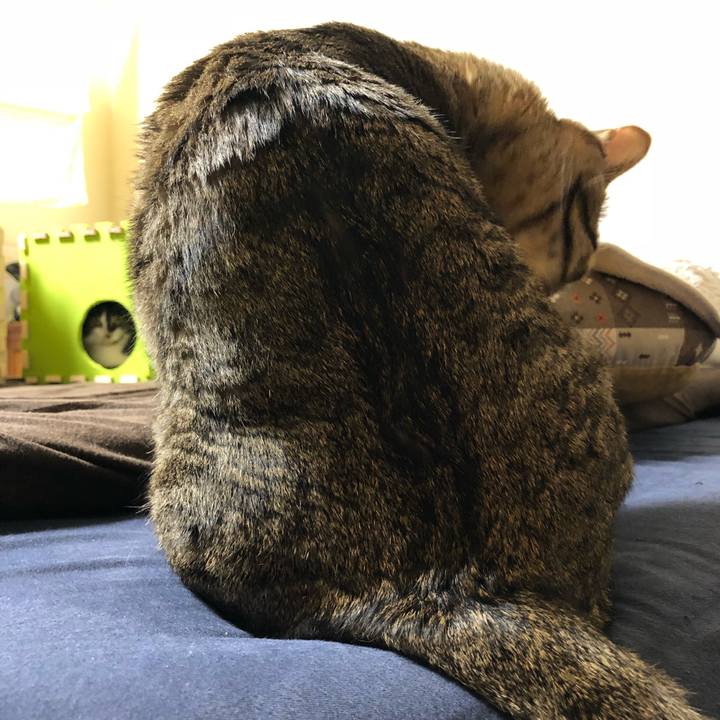 4c055cbe dc49 4f95 b5a0 90549a5886f3 1519833670093