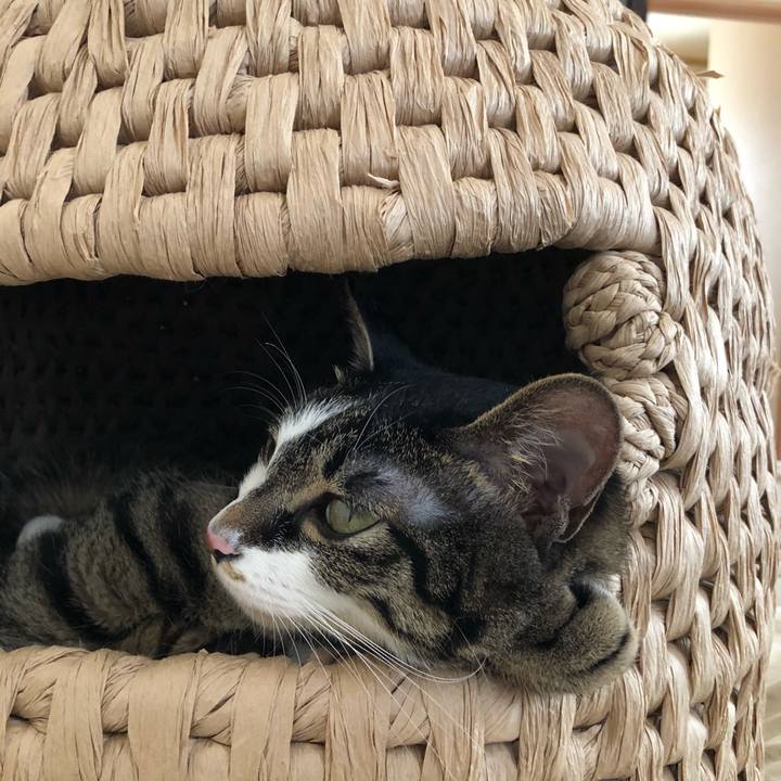 4c055f37 ed09 4357 954a 157a3d887f6f 1527569916343