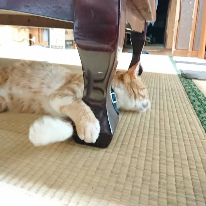 4c05aaf7 6b19 4e09 91f8 18e0c9d9f1fc 1566519115050